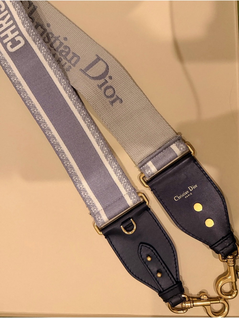 Dior Gray and Cream Logo Woven Strap with Gold-Tone Hardware